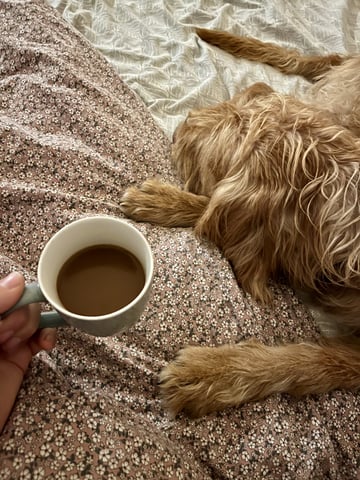 #GM The things you experience with kids and animals before 7 a.m. Now, #coffee first 🤍