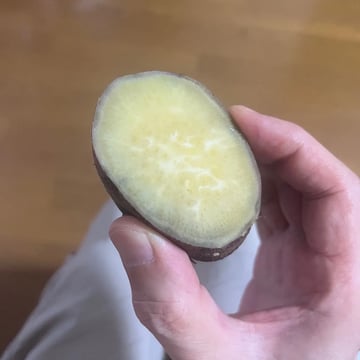 ふかしいも（しっぱい